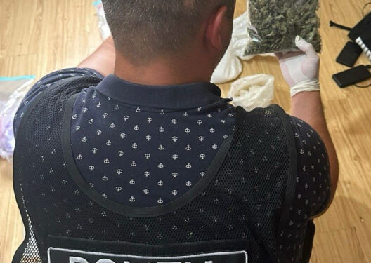 Наркотики на сумму 2 миллиона леев изъяты из оборота полицией