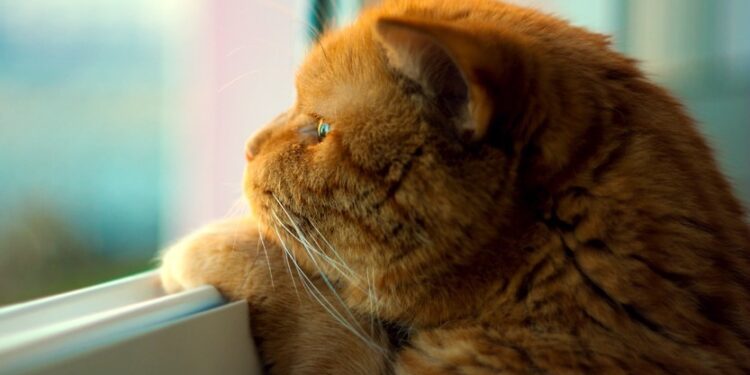 По всей стране дожди: синоптики обещают нестабильную погоду