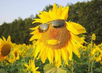 Жара и кратковременные грозовые дожди: о погоде на вторник