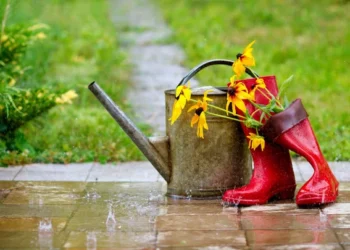 Ливни, молнии и град: прогноз погоды на вторник, 29 июля