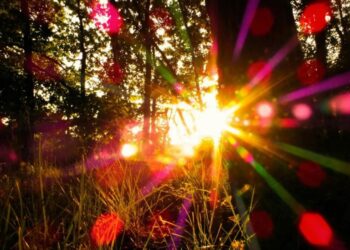 Еще один жаркий день: Синоптики рассказали, какой будет погода 23 июля