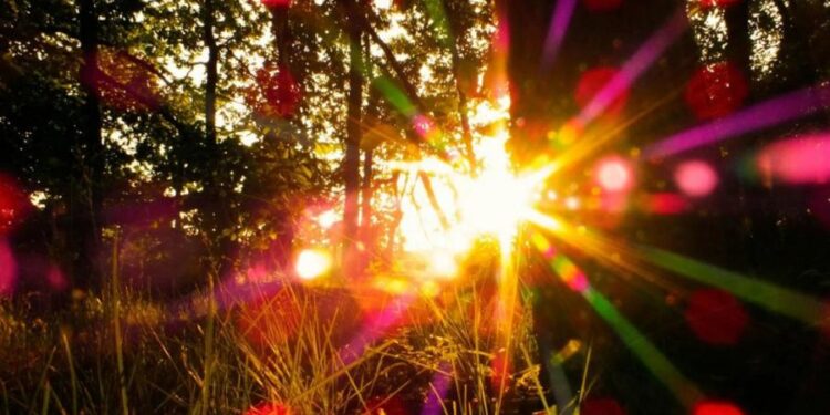 Еще один жаркий день: Синоптики рассказали, какой будет погода 23 июля