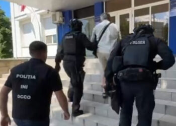 Полиция раскрыла международную схему контрабанды сигарет и отмывания денег