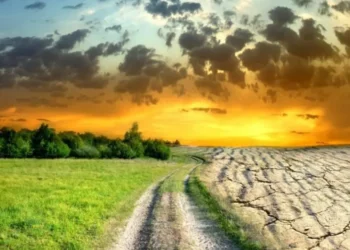 Тревожные данные: среднегодовая температура в Молдове повысилась на 2 градуса