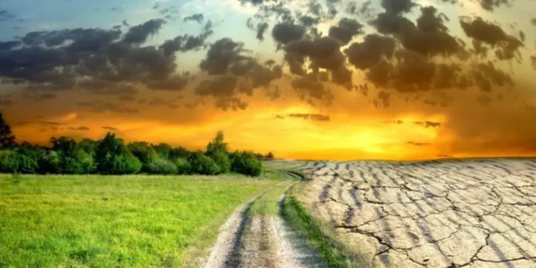 Тревожные данные: среднегодовая температура в Молдове повысилась на 2 градуса