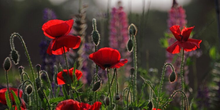 По-прежнему жарко и без существенных осадков: о погоде в пятницу