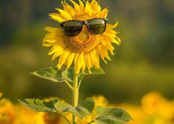 Горячий понедельник: сильная жара по всей Молдове