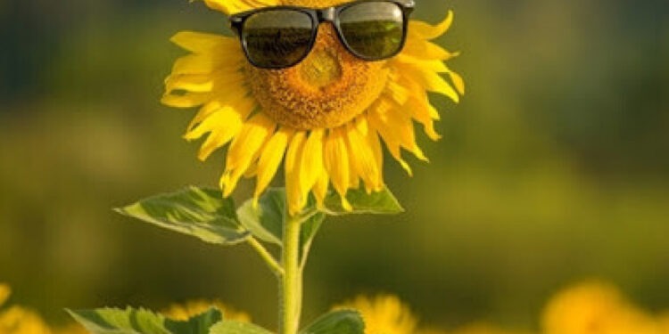 Горячий понедельник: сильная жара по всей Молдове