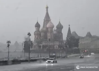 В столице России выпало 84% месячной нормы осадков