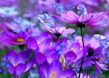 Комфортная летняя погода, без осадков: прогноз погоды на среду, 30 июля