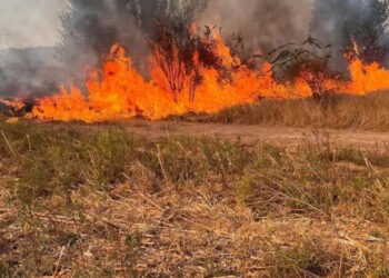 Еще один код метеопредупреждения, на этот раз из-за угрозы пожаров