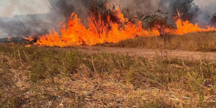 Еще один код метеопредупреждения, на этот раз из-за угрозы пожаров