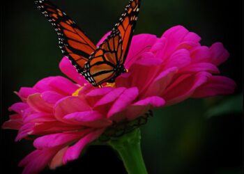 Хорошая погода 1 июля: ясное небо и высокая температура по всей стране