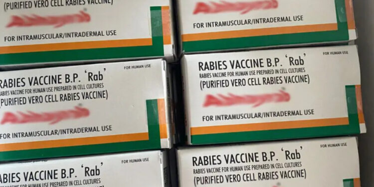 Peste 4400 de doze de vaccin antirabic au ajuns în Republica Moldova. Câți bani a alocat CNAM?