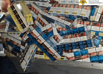 Попытка контрабанды сигарет предотвращена на таможне Кагула с помощью служебной собаки Эммы