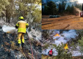 Молдавские пожарные более 5 часов боролись с огнем в Греции