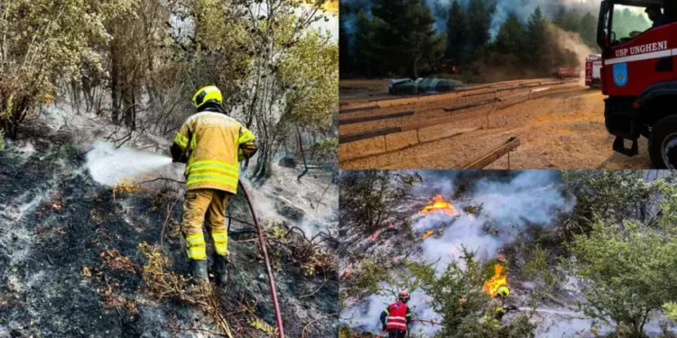 Молдавские пожарные более 5 часов боролись с огнем в Греции