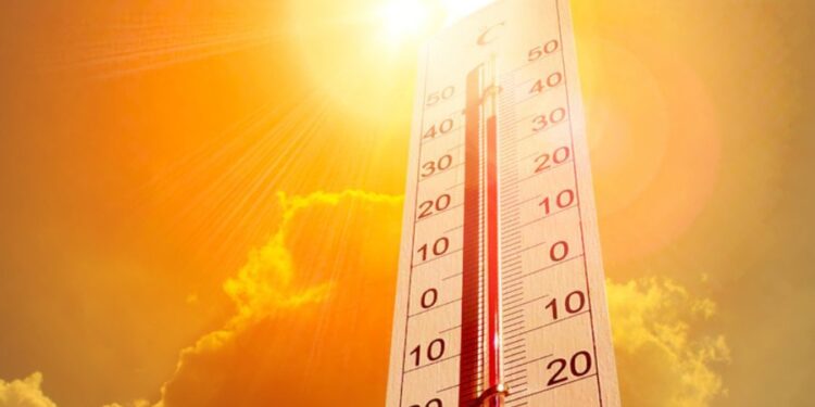 Новый жёлтый код жары: синоптики предупреждают, до скольких градусов поднимется температура