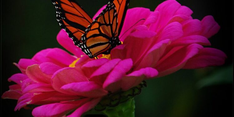 Хорошая погода 1 июля: ясное небо и высокая температура по всей стране