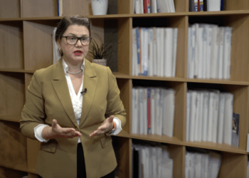 Известная адвокат ответила Чернэуцану: Ваши полицейские занимаются фальсификацией