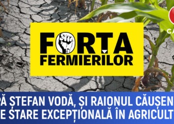 După Ștefan Vodă și raionul Căușeni cere stare excepțională în agricultură din cauza secetei