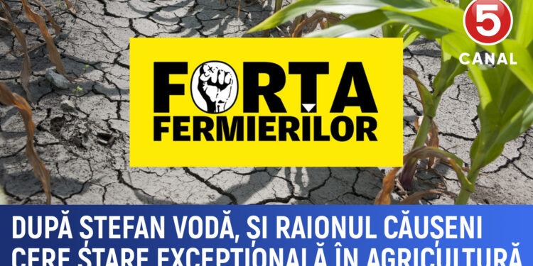 După Ștefan Vodă și raionul Căușeni cere stare excepțională în agricultură din cauza secetei