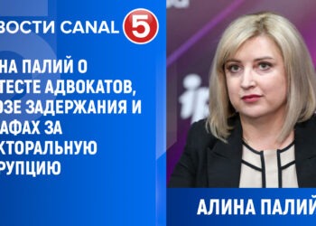 Алина Палий о протесте адвокатов, угрозе задержания и штрафах за электоральную коррупцию