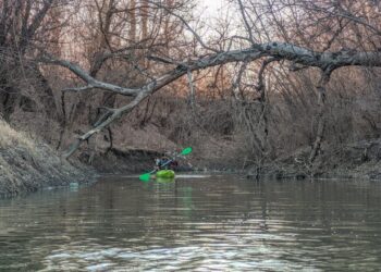 Miros de putregai și apă albastră: Râul Ichel, afluent al Nistrului, s-a transformat într-un canal de scurgere