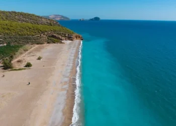 Отдыхающих в Турции туристов предупредили об опасной бактерии