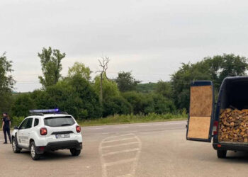 Lemne fără acte, descoperite într-un microbuz oprit de polițiștii de frontieră