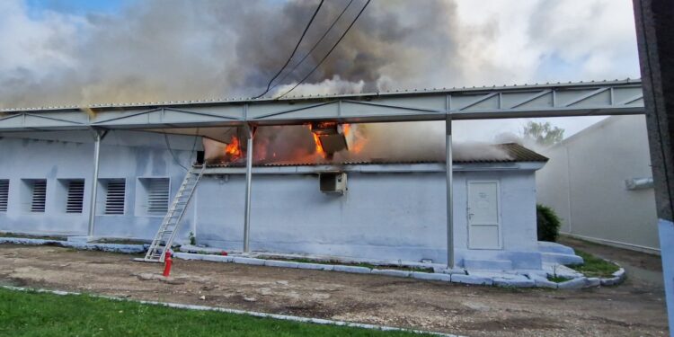 Incendiu la o fabrică avicolă din Edineț: 36.000 de păsări salvate