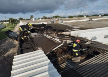 Incendiu la o fabrică avicolă din Edineț: 36.000 de păsări salvate