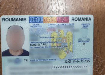 Rețea de buletine românești false destructurată de polițiști în Suceava