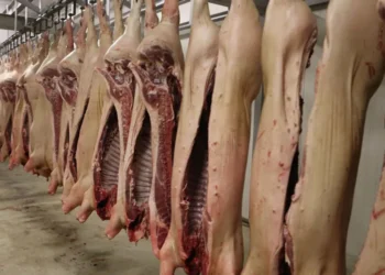 Немного импортной свинины без пошлин