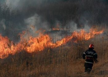 R. Moldova trimite o nouă echipă de pompieri la stingerea incendiilor forestiere din Grecia