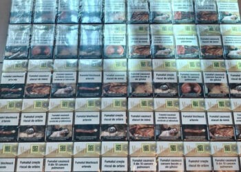 Un moldovean, prins cu 3.800 de țigarete ascunse în cursa Chișinău-Dublin