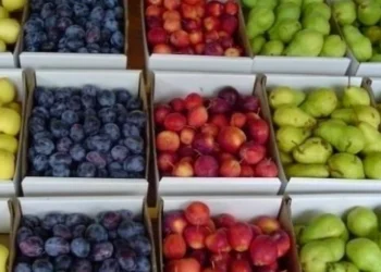 Luxul verii: Fructele de sezon, tot mai inaccesibile pentru moldoveni