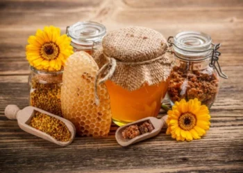 Мёд подорожал. Как пчеловоды объясняют рост цен