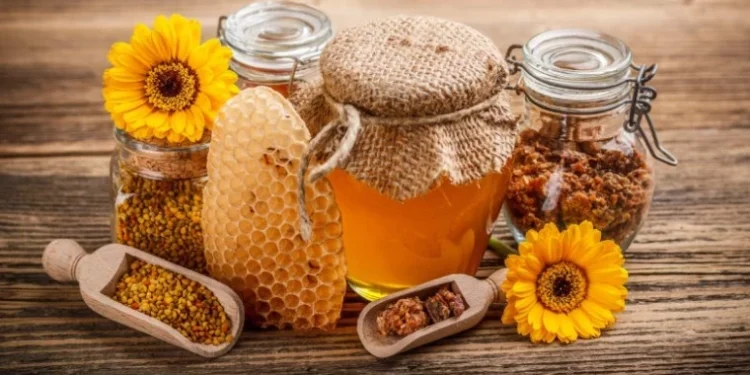 Мёд подорожал. Как пчеловоды объясняют рост цен