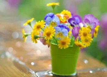 Vreme caldă și stabilă: până la +33°C în sudul țării