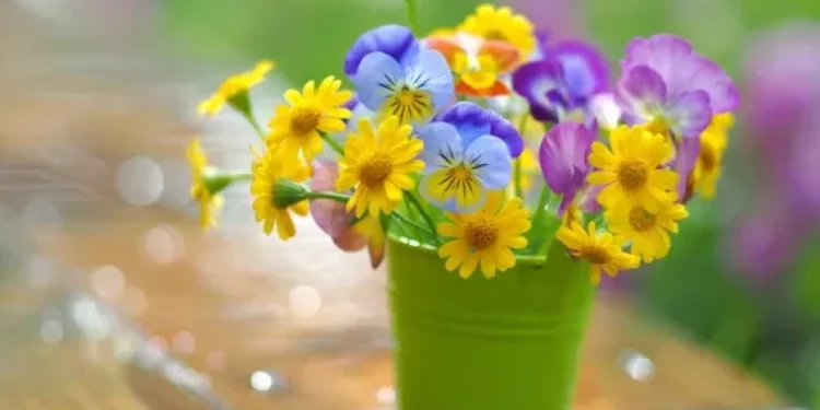 Vreme caldă și stabilă: până la +33°C în sudul țării