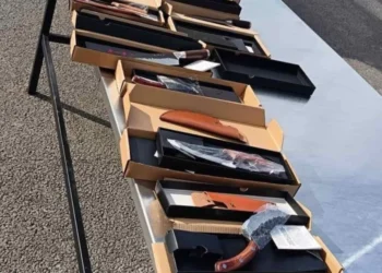 В Леове были обнаружены незадекларированные ножи