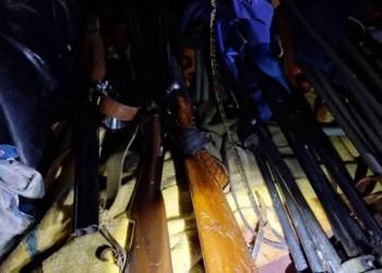 Razii ale inspectorilor de mediu la Nisporeni: Arme găsite într-un automobil