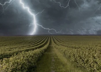 Cod galben de ploi și vânt în toată Moldova