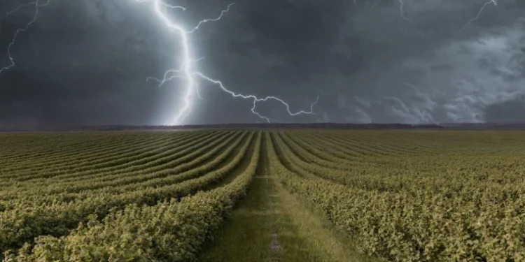 Cod galben de ploi și vânt în toată Moldova