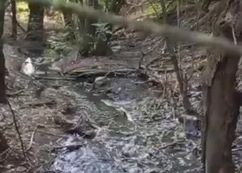 Экологическая катастрофа в Чореску: канализация из Крикова выливается в реку Икель – тревожный сигнал для всей страны