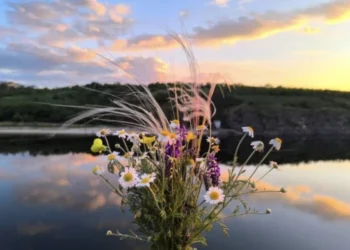 Caniculă în toată țara: temperaturi de până la +33°C