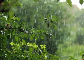 Cod de instabilitate atmosferică: averse, furtuni și temperaturi de până la +29°C