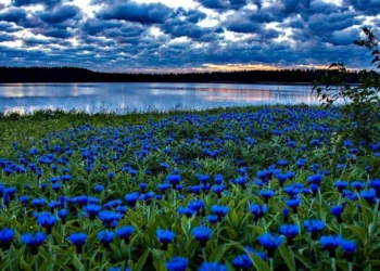 Fără precipitații: maxime de până la +29°C astăzi