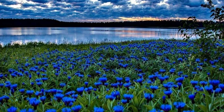 Fără precipitații: maxime de până la +29°C astăzi